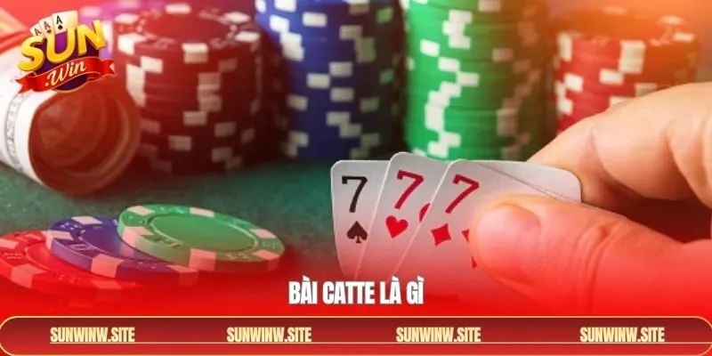Bài Catte Là Gì - Bí Quyết Cá Cược Luôn Thắng Từ Các Cao Thủ