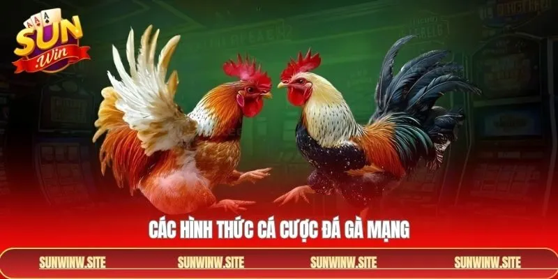 Các hình thức đá gà mạng được săn đón 2026