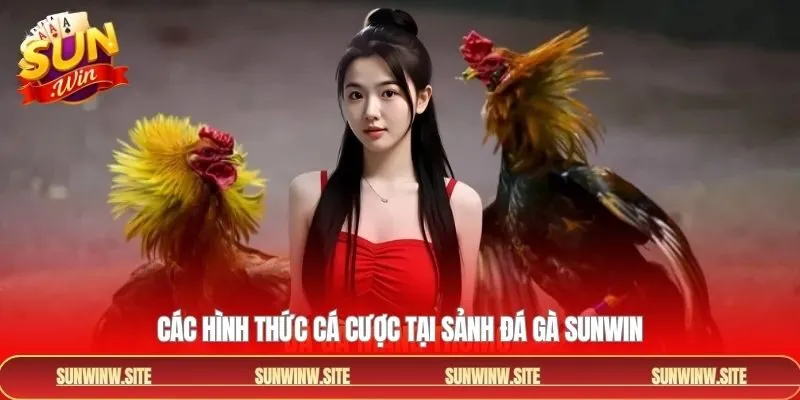 Những hình thức đá gà hấp dẫn và kịch tính trên sảnh cược