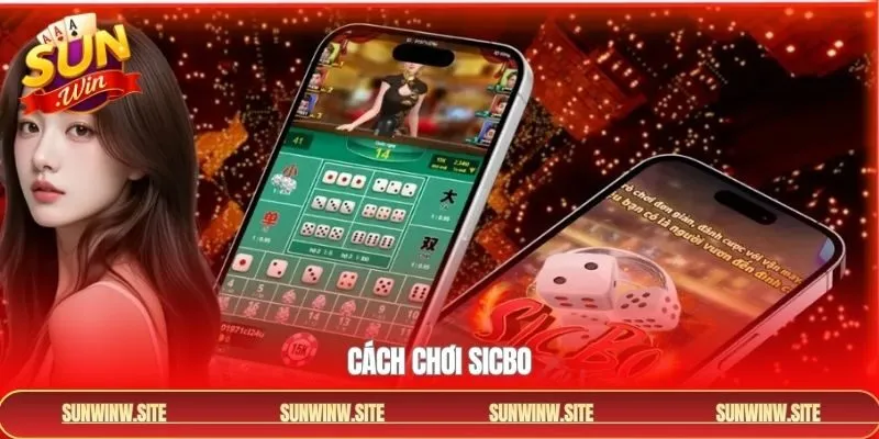 Cách Chơi Sicbo - Hướng Dẫn Từ Cơ Bản Đến Nâng Cao Tại Sunwin
