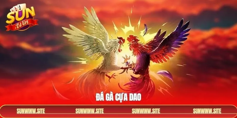 Đá Gà Cựa Dao - Cá Cược Kịch Tính Cùng Cổng Game Sunwin