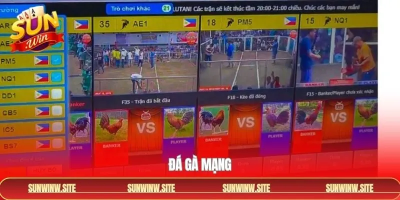 Đá Gà Mạng - Sàn Chiến Siêu Nảy Lửa Chỉ Có Tại Sunwin