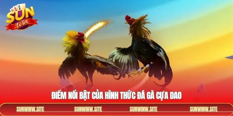Đá gà cựa dao có nhiều ưu điểm khác biệt