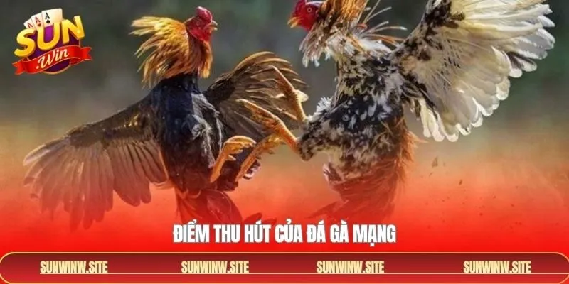 Những ưu điểm mà đá gà mạng đang sở hữu