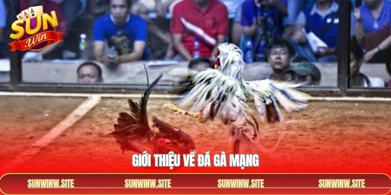 Tổng quan đôi nét chính về loại hình giải trí hot