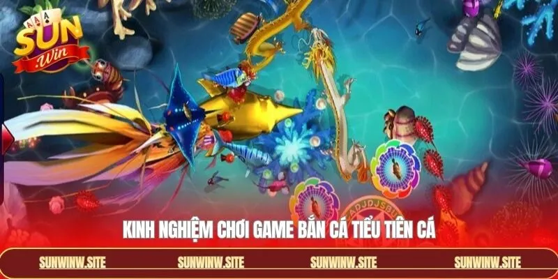 Kinh nghiệm săn cá mang về thưởng lớn