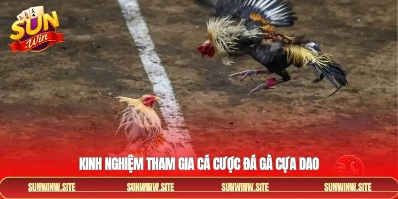 Chiến thuật cá cược đá gà cựa dao nhận thưởng lớn