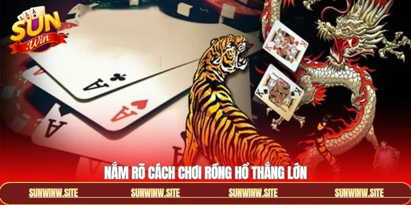 Những cách chơi Rồng Hổ tối ưu giúp hội viên chiến thắng