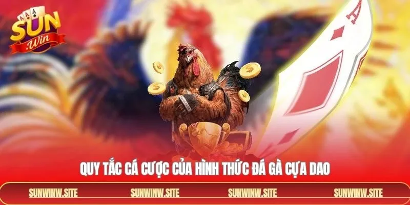 Luật đá gà cơ bản hội viên nên nắm rõ